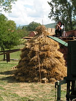 Battage a l'ancienne - Meule (ph. F. Mrugala, St Jean de Touslas)